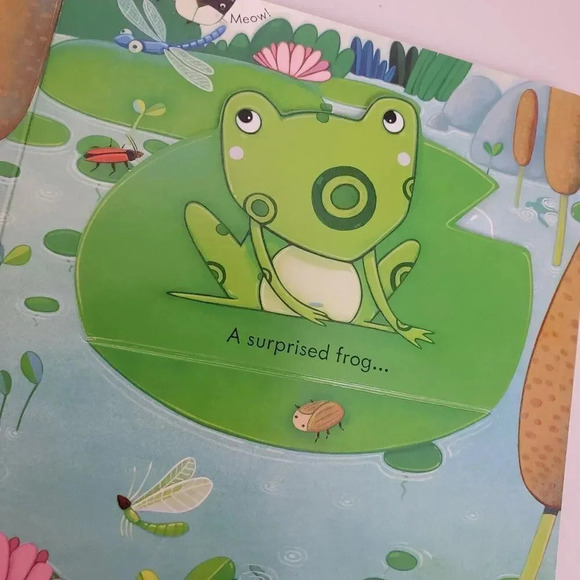 USBORNE Peek Inside the Garden Lift-A-Flap Board Book Illustrated Simona Dimitri - Picture 7 of 7